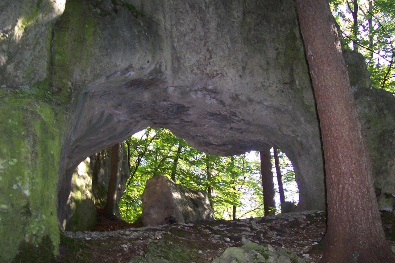 Pension Frauenschuh Hirschbach  Luaran gambar